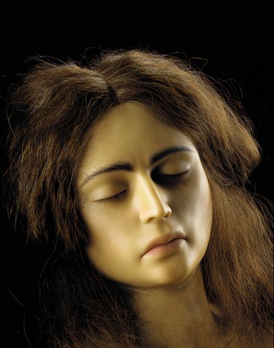 Anatomiczny model ciąży jajnikowej, szczegół autorstwa European School