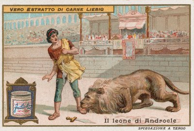 Androkles i lew autorstwa European School