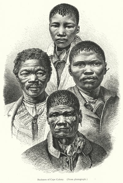 Buszmeni z Cape Colony (grafika) autorstwa European School