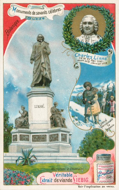 Carl Linnaeus, karta Liebig, początek XX wieku (chromo) autorstwa European School