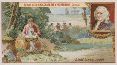 Carl Linnaeus, szwedzki botanik i zoolog autorstwa European School