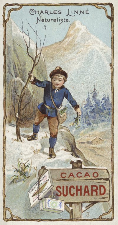 Carl Linnaeus, szwedzki botanik i zoolog, jako dziecko autorstwa European School