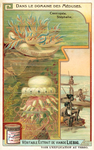 Cassiopeia i Stephalia (chromolitho) autorstwa European School