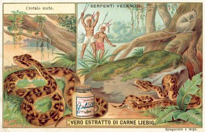Copperhead (chromolitho) autorstwa European School