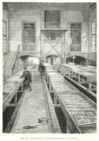 Hodowla ryb Huningue, widok wnętrza. (rytownictwo) autorstwa European School