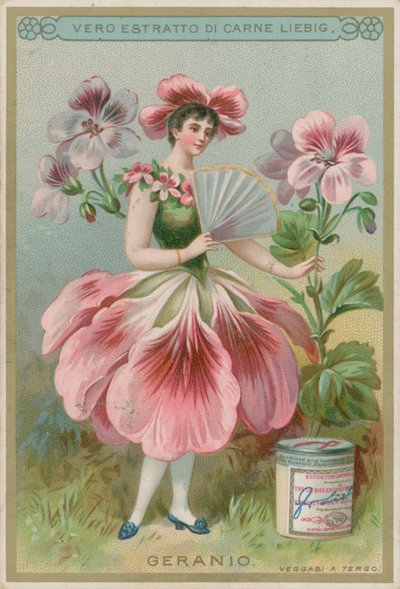 Dziewczyna z kwiatem geranium autorstwa European School