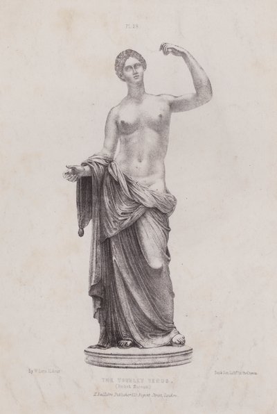 Ilustracja do Anatomii zewnętrznych form człowieka: The Townley Venus, British Museum (litografia) autorstwa European School