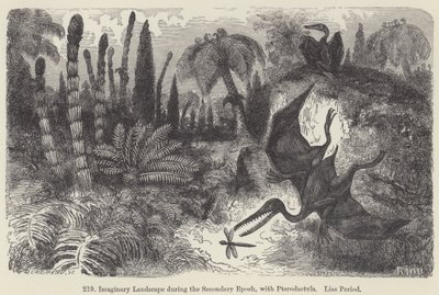 Wyimaginowany krajobraz w drugiej epoce, z pterodaktylami, okres Liasa (rycina) autorstwa European School