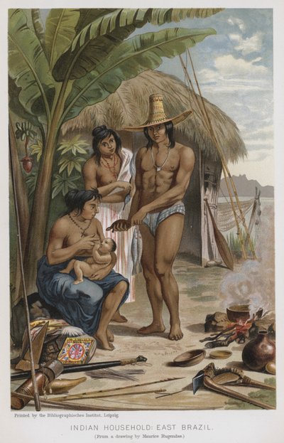 Indyjskie gospodarstwo domowe, Wschodnia Brazylia (chromolitho) autorstwa European School