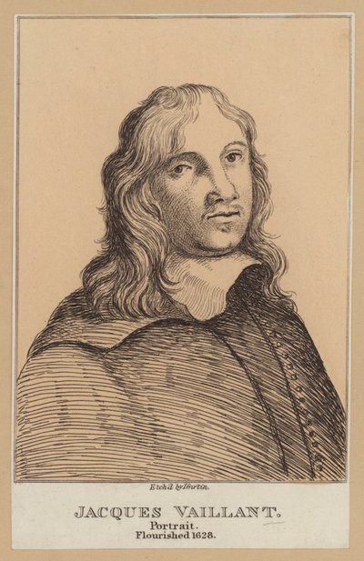 Jacques Vaillant , holenderski malarz (akwaforta) autorstwa European School