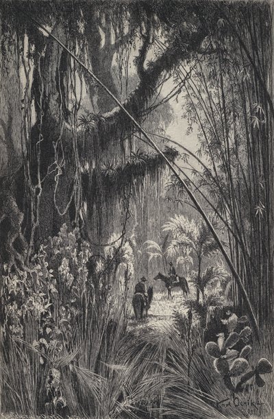 Dżungla w Kordylierach Salta, północno-zachodnia Argentyna (litho) autorstwa European School