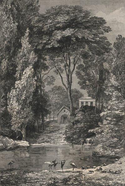 Dolina Szwajcarska w Jardin Des Plantes w Paryżu (grawerowanie) autorstwa European School