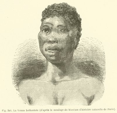 Hottentot Venus, z obsady Muzeum Historii Naturalnej w Paryżu (rycina) autorstwa European School