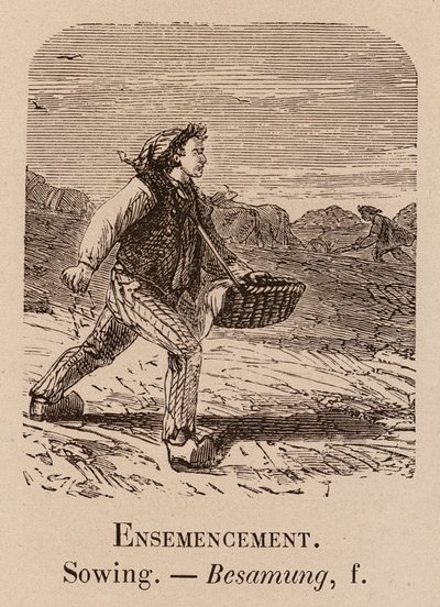 Słownik ilustracyjny: Siew; Siew; Besamung (grawerowanie) autorstwa European School