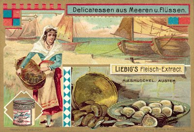 Małże i ostrygi (chromolitho) autorstwa European School