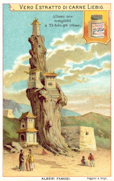 Stare drzewo ze świątyniami w Chinach (chromolitho) autorstwa European School