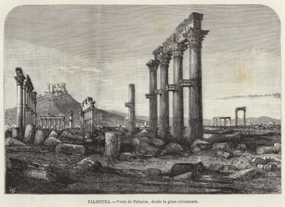 Palestyna, Widok Palmyry, z wielkiej kolumnady autorstwa European School