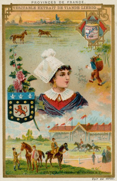 Poitou autorstwa European School