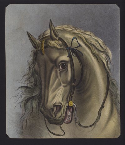 Portret konia (litografia kolorowa) autorstwa European School