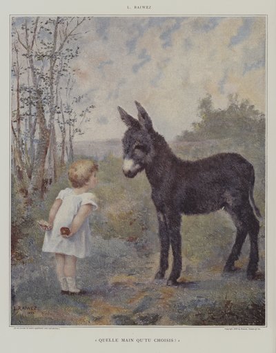 Którą rękę wybierasz? (Którą rękę wybierasz?) (kolor lito) autorstwa European School