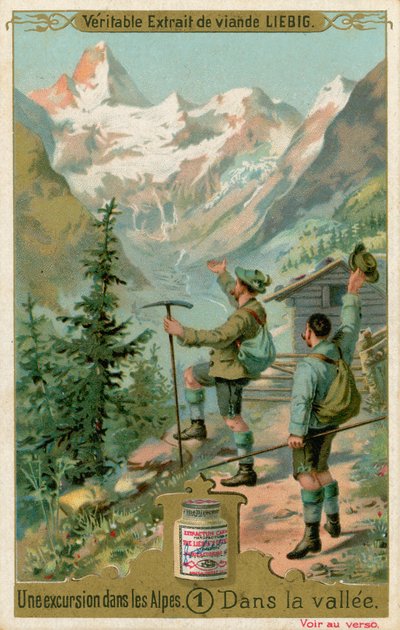 Scena z wycieczki w Alpy: w dolinie (chromolitho) autorstwa European School