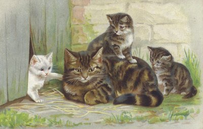 Kotka tabby z trójką kociąt (chromolitho) autorstwa European School