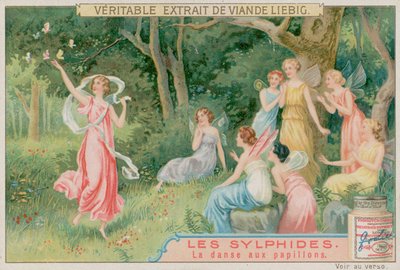 Sylfy tańczą z motylami autorstwa European School