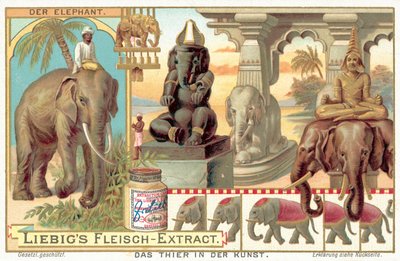 Słoń (chromolitho) autorstwa European School