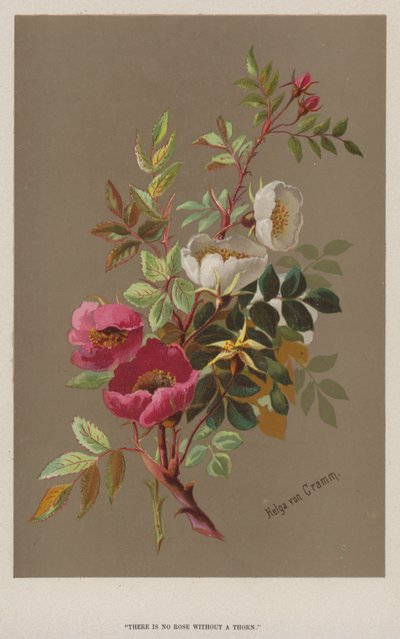 "Nie ma róży bez kolca" (chromolitho) autorstwa European School