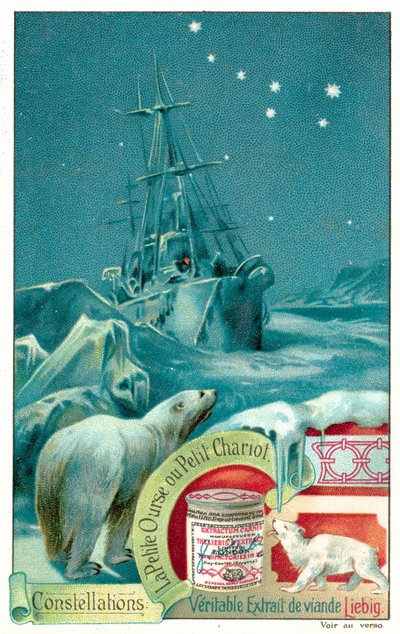 Ursa Minor (chromolitho) autorstwa European School