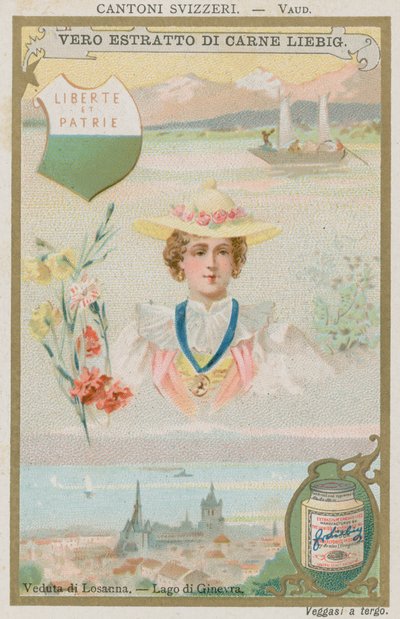 Vaud autorstwa European School