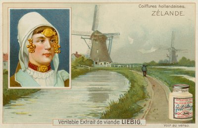 Zelandia autorstwa European School