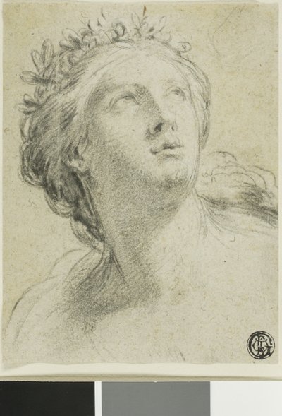 Głowa kobiety autorstwa Eustache Le Sueur