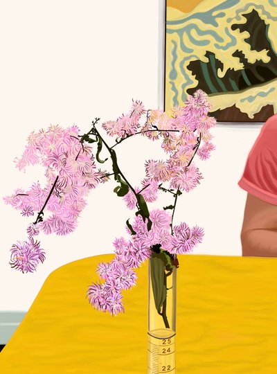 Astry na stole jadalnym (grafika cyfrowa) autorstwa Evan Sklar