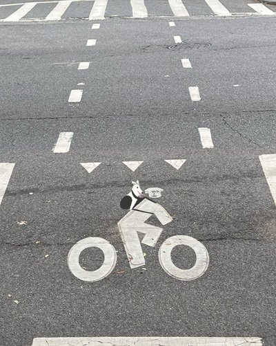 Oznakowanie pasa rowerowego na ulicy (grafika cyfrowa) autorstwa Evan Sklar