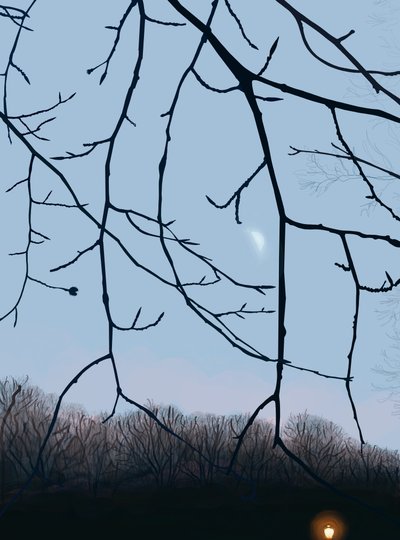 Gałęzie, świt, Prospect Park (grafika cyfrowa) autorstwa Evan Sklar