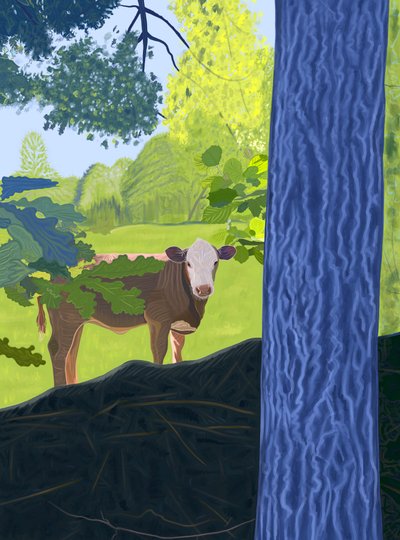 Krowa na polu, 2025 (grafika cyfrowa) autorstwa Evan Sklar