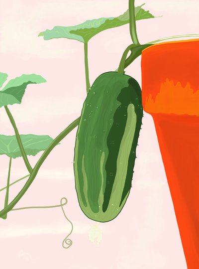 Ogórek w doniczce, Brooklyn (grafika cyfrowa) autorstwa Evan Sklar