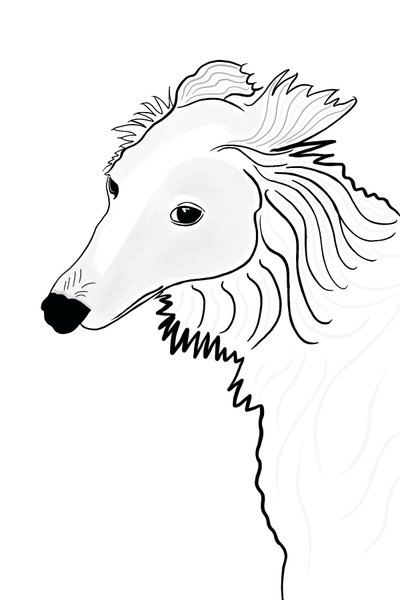 Rysunek liniowy Silken Windhound (grafika cyfrowa) autorstwa Evan Sklar