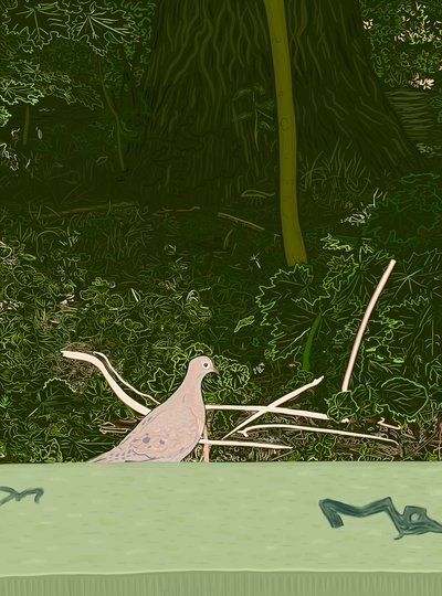 Gołąb żałobny na ścianie Prospect Park, ok. 2020-24 (grafika cyfrowa) autorstwa Evan Sklar