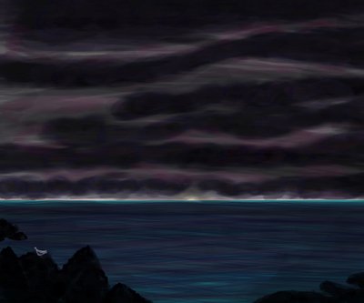 Ocean i niebo z ptakiem w nocy autorstwa Evan Sklar