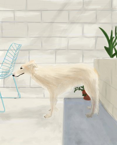 Penny On The Back Porch 2017 (narysowane ręcznie na iPadzie ołówkiem Apple) autorstwa Evan Sklar