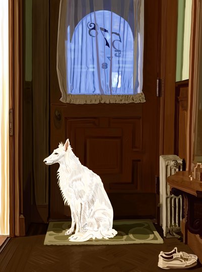 Penyy On Rug By Front Door Brooklyn (grafika cyfrowa) autorstwa Evan Sklar