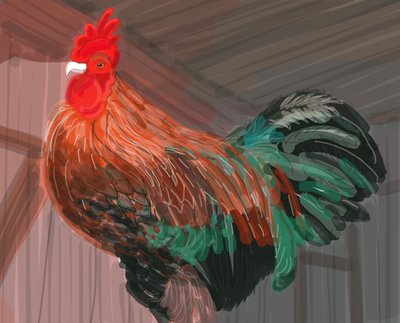 Kogut w stodole, 2018 (narysowany ręcznie na iPadzie ołówkiem Apple) autorstwa Evan Sklar