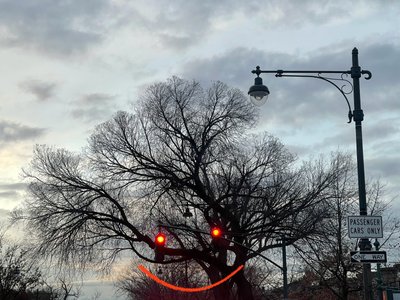 Uśmiechnięte drzewo i sygnalizacja świetlna. Brooklyn (grafika cyfrowa) autorstwa Evan Sklar