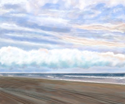 Plaża łabędzi autorstwa Evan Sklar