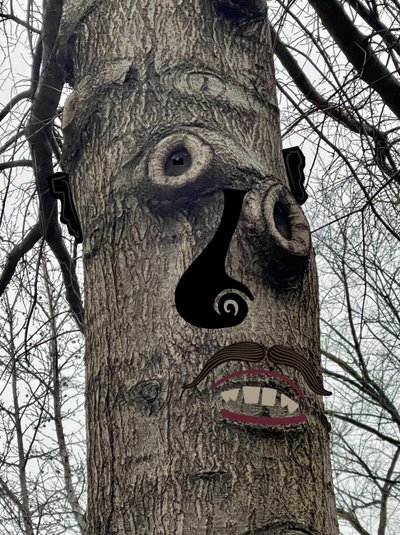 Twarz drzewa, ok. 2020-24 (grafika cyfrowa) autorstwa Evan Sklar