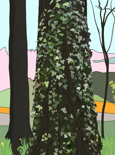 Drzewo z bluszczem (grafika cyfrowa) autorstwa Evan Sklar