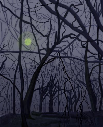 Drzewa (grafika cyfrowa) autorstwa Evan Sklar