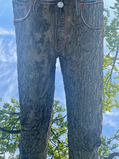 Drzewo do góry nogami jako Blue Jeans (grafika cyfrowa) autorstwa Evan Sklar